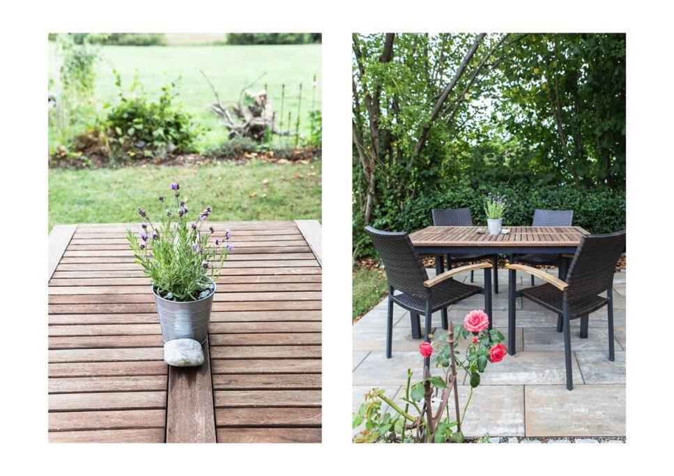 Naturidyl Schneckenbuch Apartment *